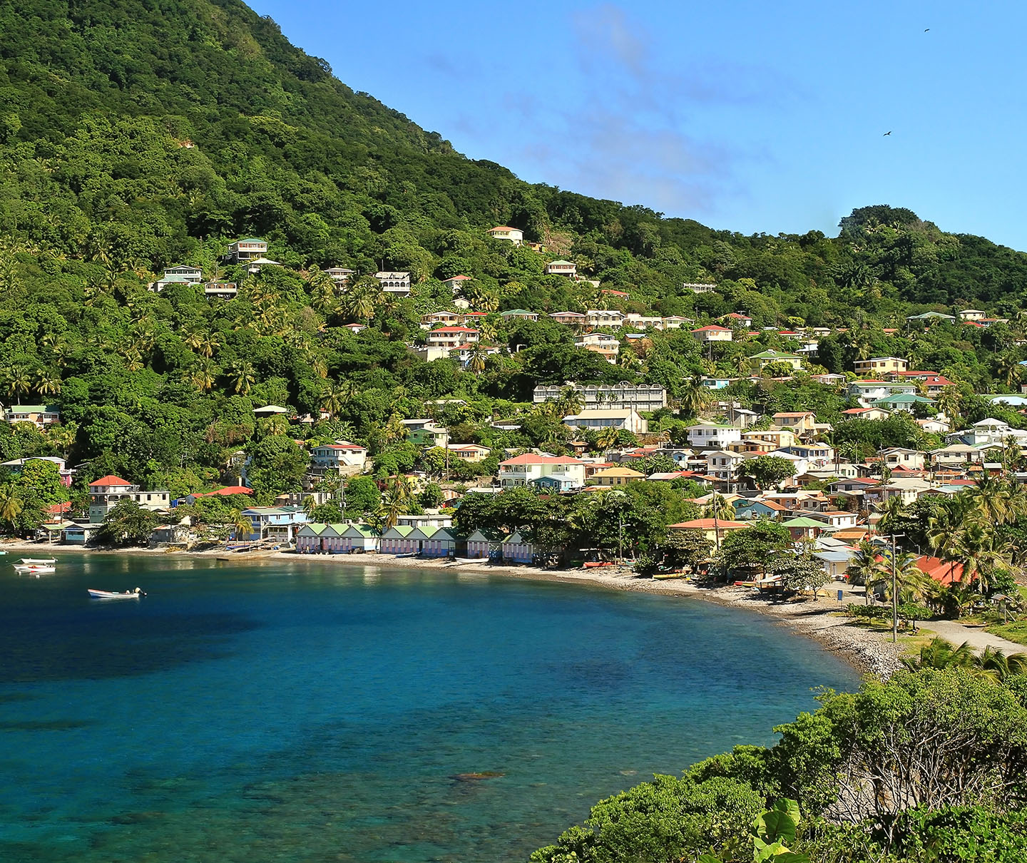 dominica_banner.jpg
