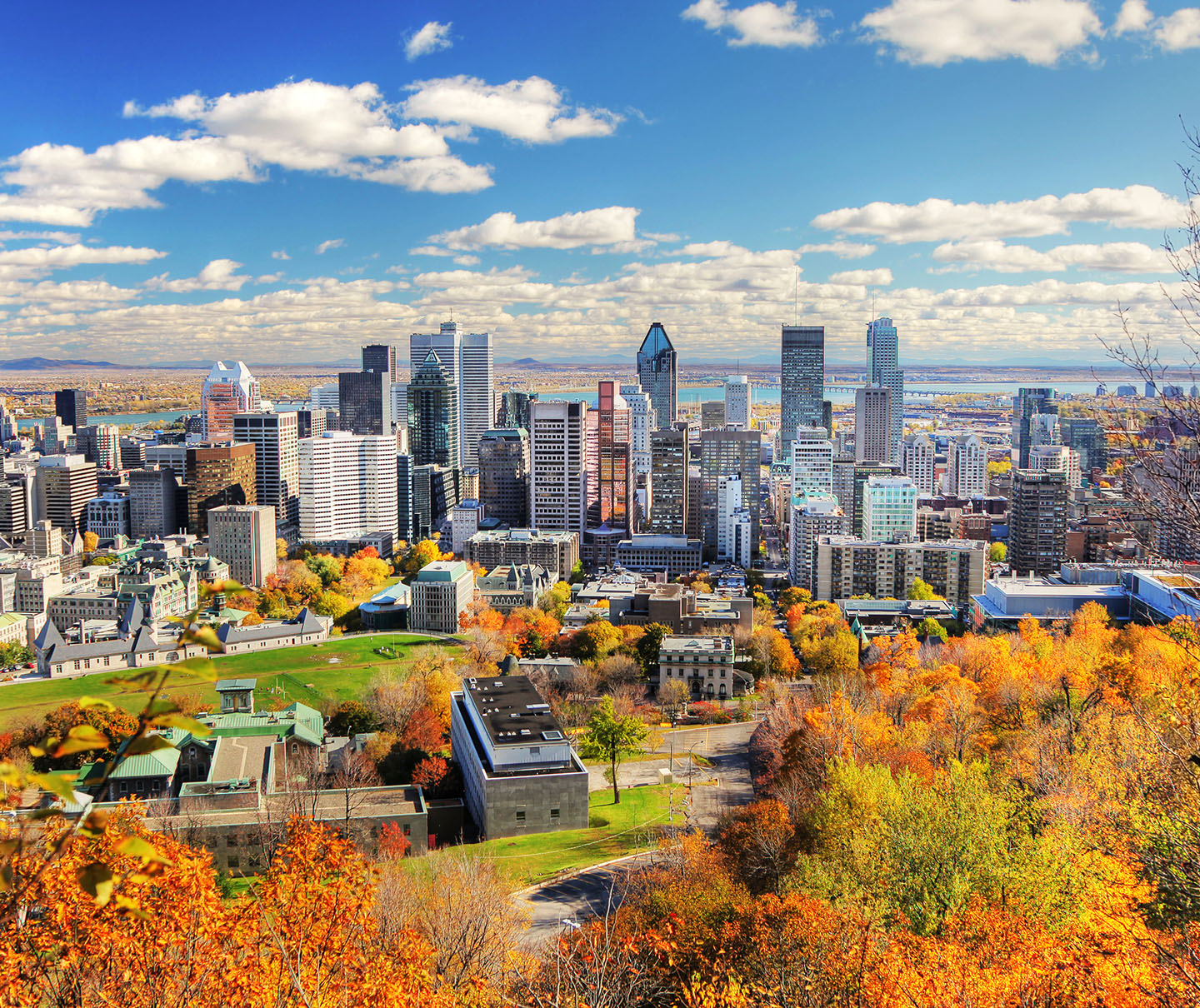 canada_banner.jpg (1)