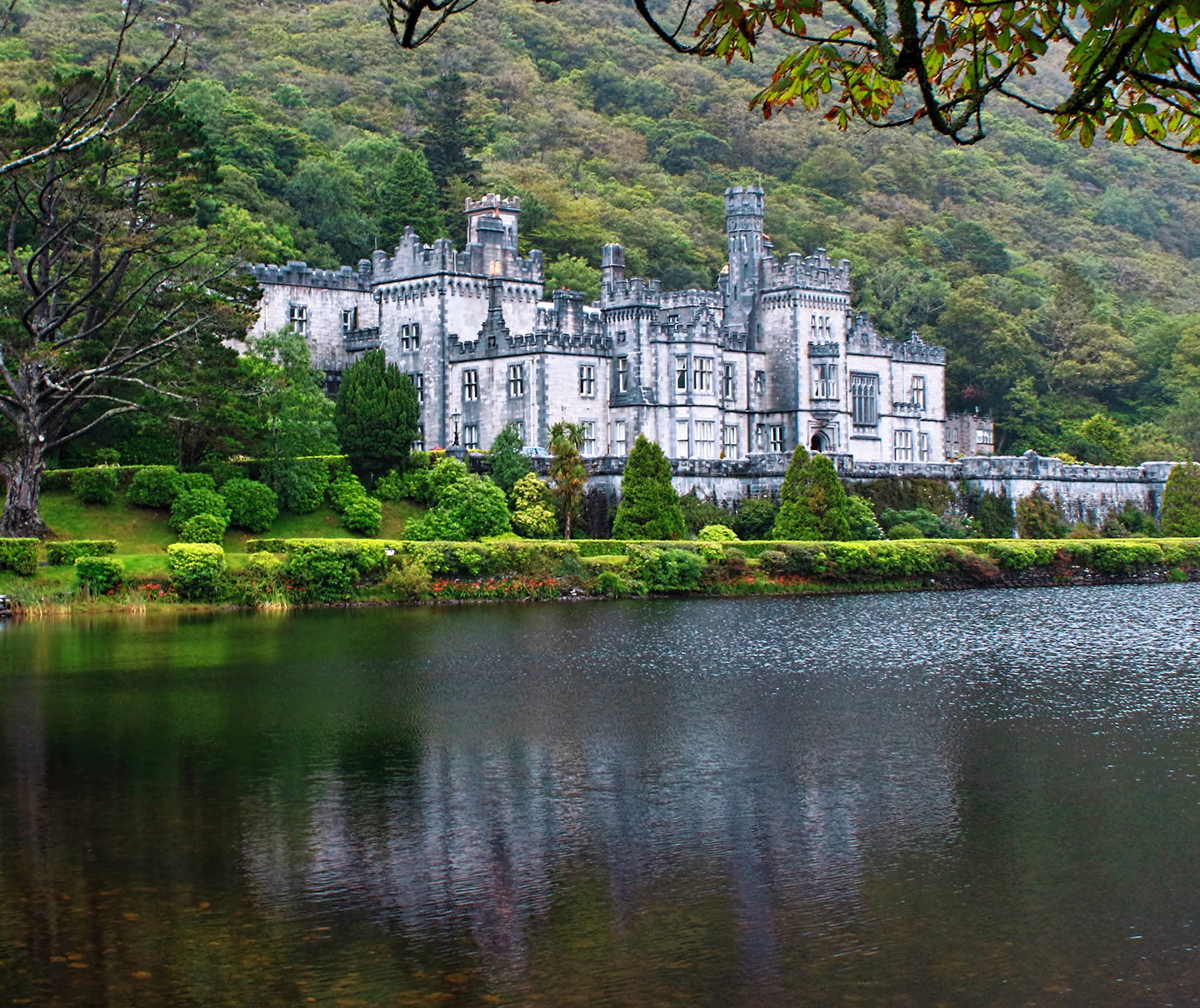 ireland_banner.jpg