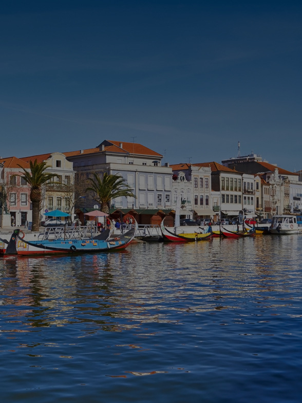 Portuguese Residency to Speed Up with New Agency