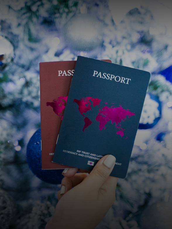 How to Apply for Citizenship by Investment in 2024