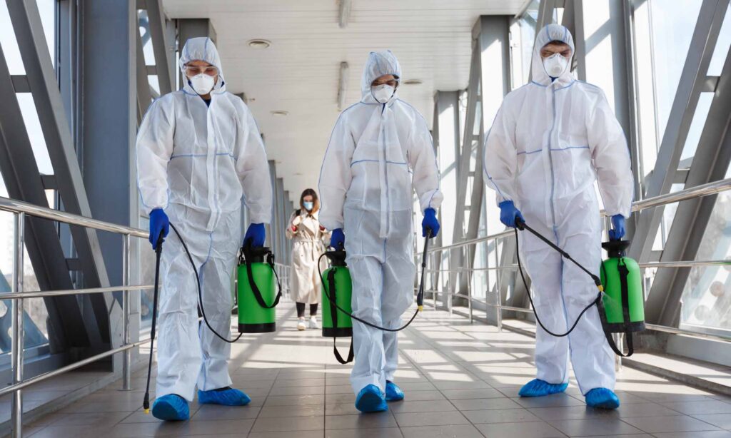 The pandemic curtailed travel.