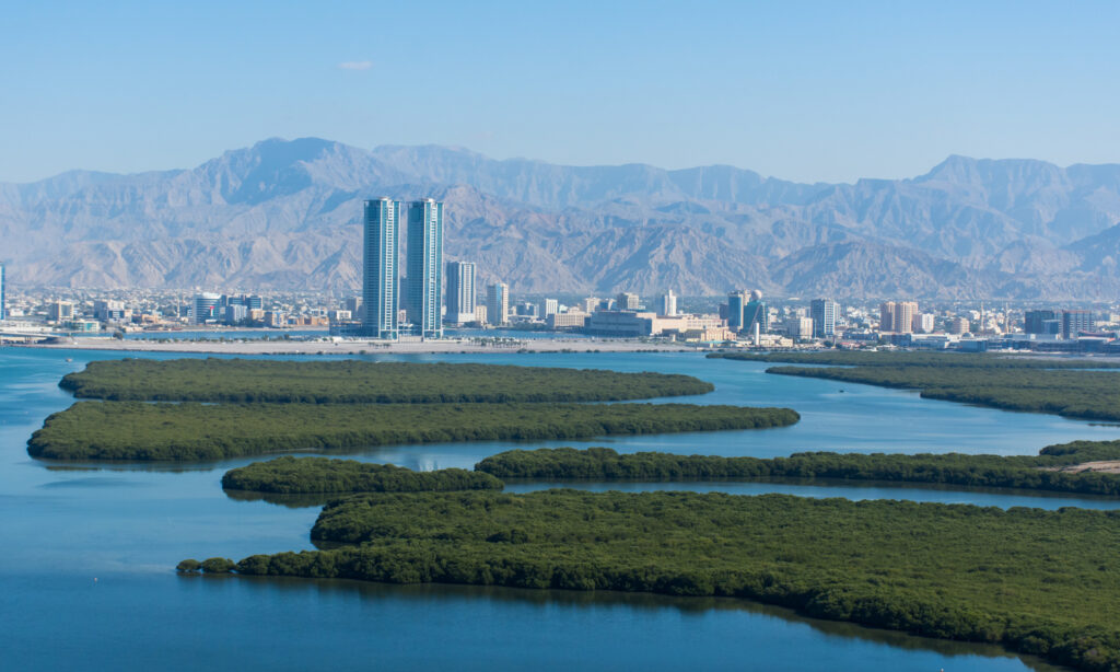 Check out the paperwork required for RAK Residency by Investment.