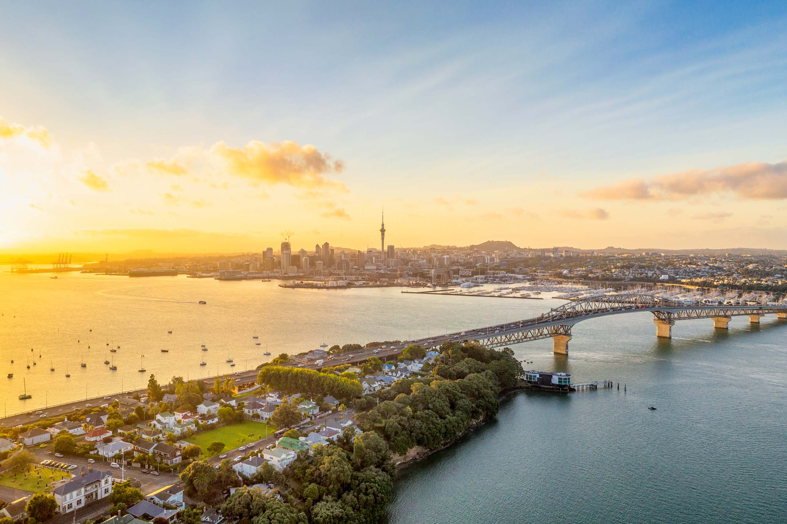 New Zealand Active Investor Plus