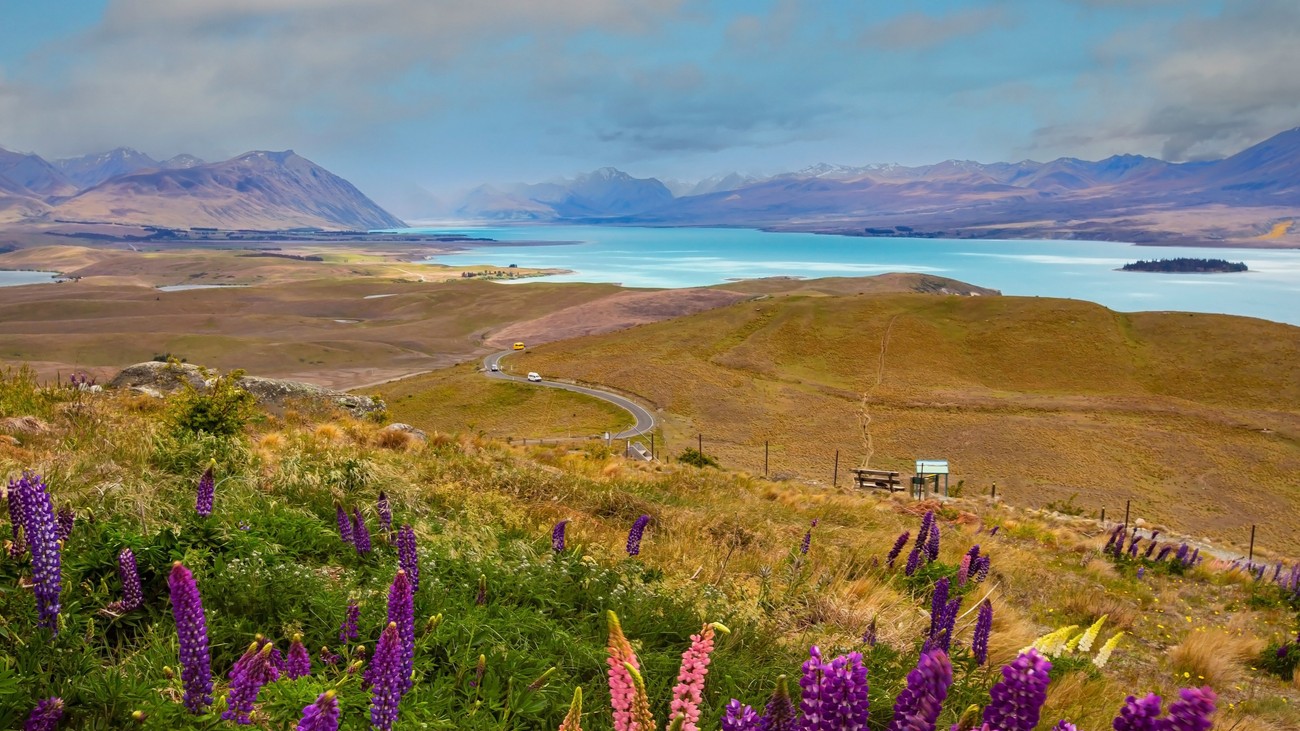 Why Discerning U.S. Families Are Choosing New Zealand as a Long-Term Safe Haven