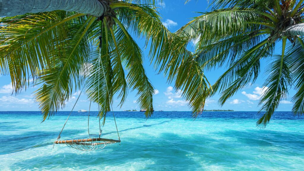 Caribbean Citizenship Benefits: How OECS Passports Offer Regional Freedom