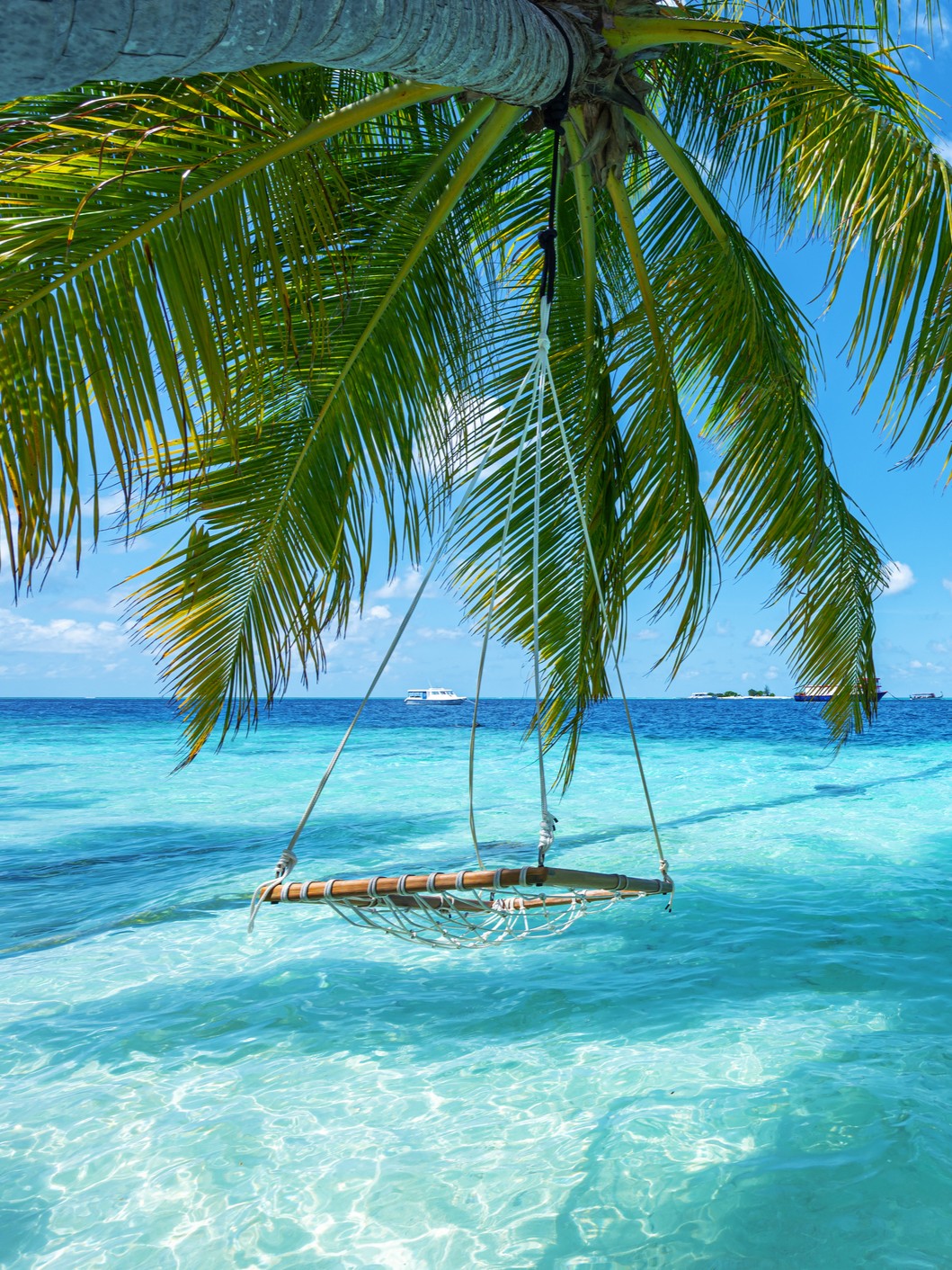 Caribbean Citizenship Benefits: How OECS Passports Offer Regional Freedom